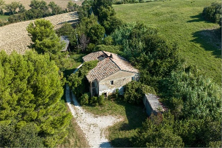 Foto Rustico a Ancona di 400 m² con 5 locali in vendita
