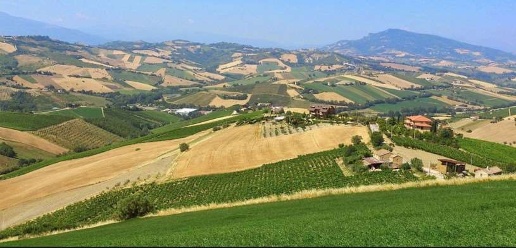 Foto Rustico in strada provinciale, Montecalvo in Foglia Cà Gallo di 480 m²
