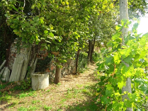 immagine annuncio 8 di 13