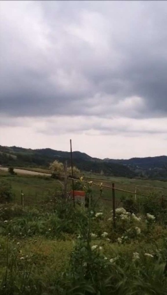 immagine annuncio 5 di 7