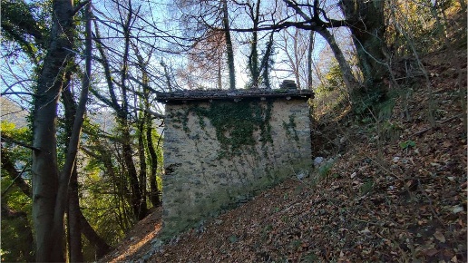 immagine annuncio 3 di 14