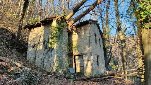 immagine annuncio 4 di 14