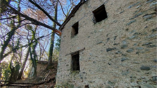 immagine annuncio 6 di 14