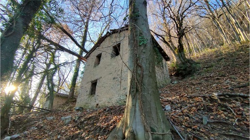 immagine annuncio 7 di 14