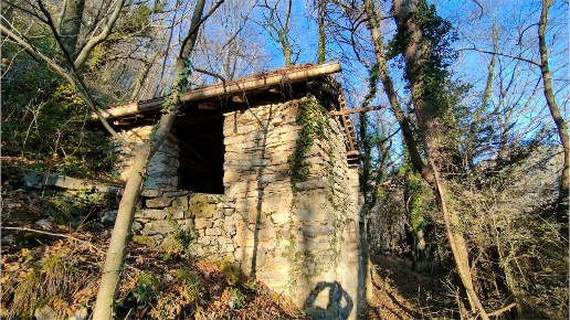 immagine annuncio 9 di 14