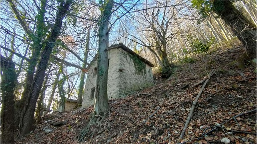 immagine annuncio 10 di 14