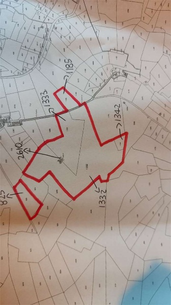 immagine annuncio 13 di 14