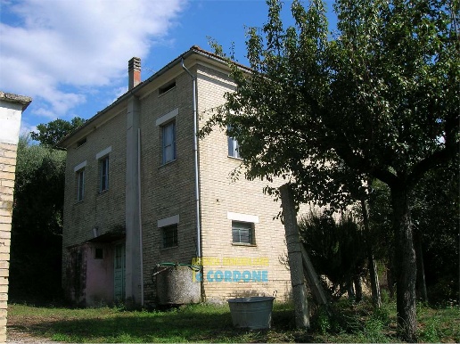 immagine annuncio 1 di 8