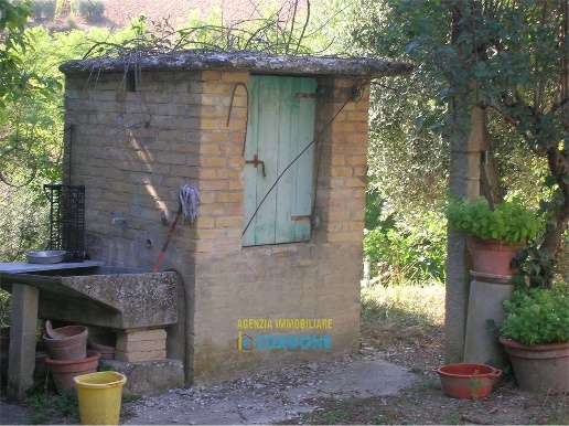 immagine annuncio 4 di 8