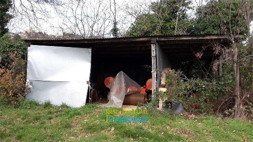 immagine annuncio 2 di 11