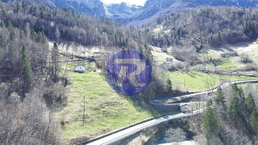 immagine annuncio 3 di 7