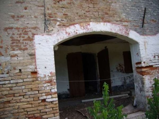 immagine annuncio 3 di 14