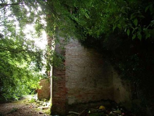 immagine annuncio 5 di 14