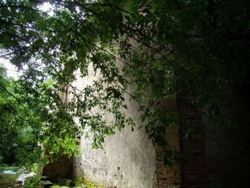 immagine annuncio 6 di 14