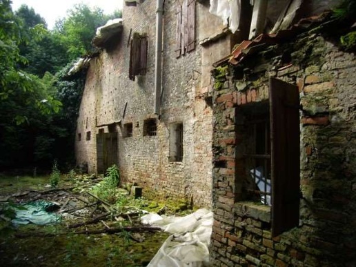 immagine annuncio 8 di 14