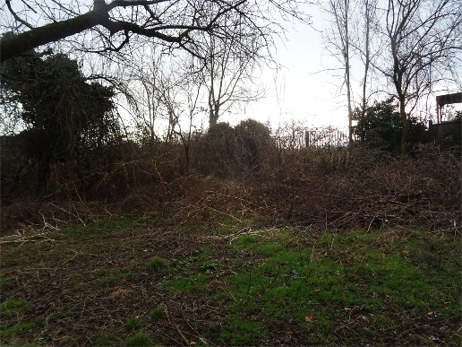 immagine annuncio 5 di 6