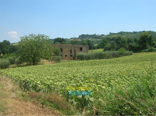 immagine annuncio 4 di 12