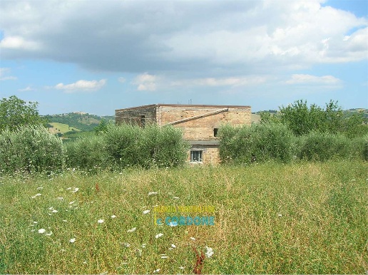 immagine annuncio 6 di 12