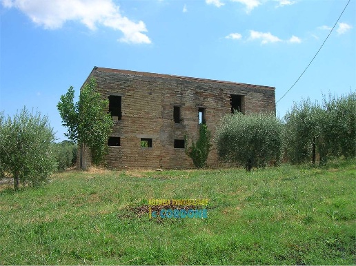 immagine annuncio 11 di 12