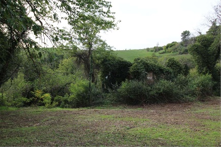 Foto Rustico in Corso XXI Gennaio  125, Vallefoglia Montecchio di 300 m²