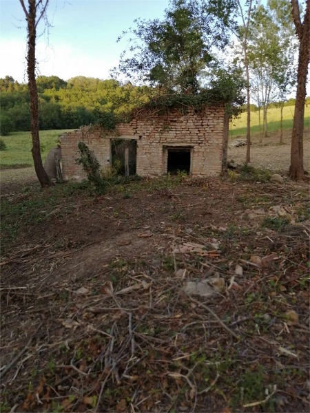 immagine annuncio 3 di 11