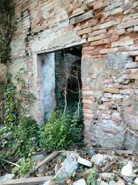 immagine annuncio 4 di 11
