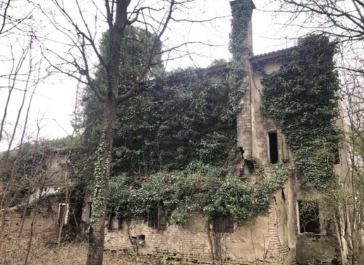 immagine annuncio 6 di 15