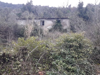 Foto Rustico a Patrica di 140 m² con 1 locali in vendita