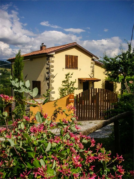 immagine annuncio 8 di 15