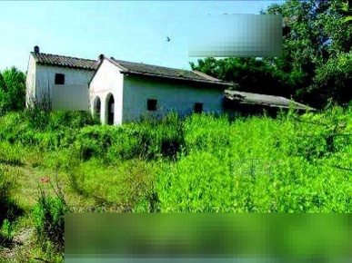 Foto Rustico in Via del Mare 12, Vecchiano Vecchiano Nodica di 634 m²