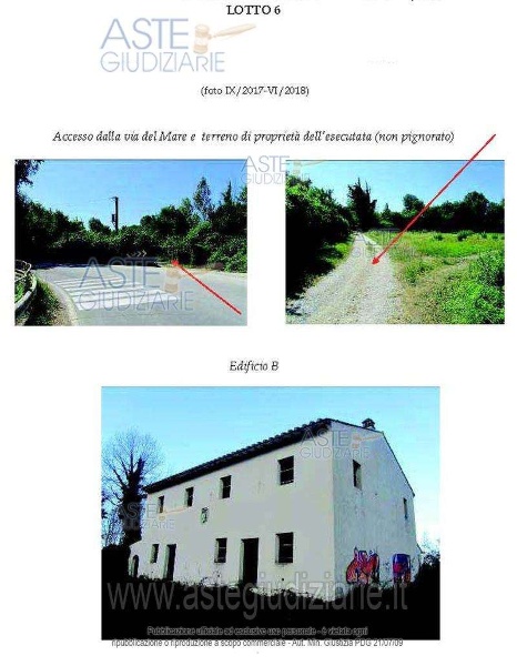 immagine annuncio 3 di 7