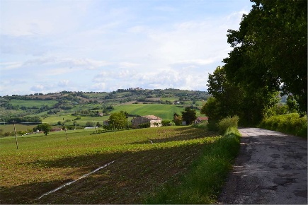 Foto Rustico in Via San Vincenzo, Cartoceto di 400 m² con 11 locali