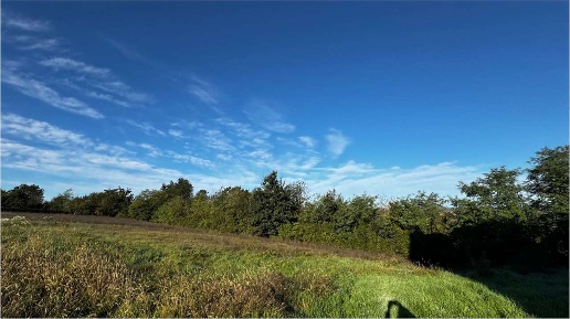 Foto Rustico a Masio di 330 m² con 12 locali in vendita
