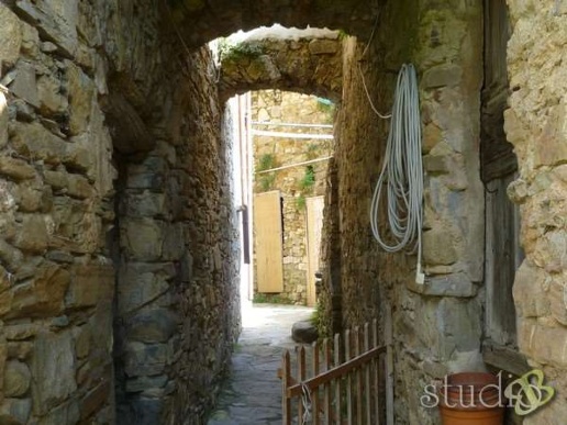 immagine annuncio 3 di 13