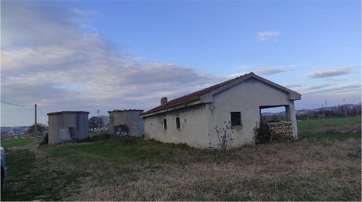 immagine annuncio 5 di 8
