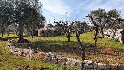 Foto Rustico in contrada marchione, Castellana Grotte Castellana di 60 m²