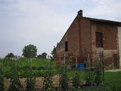 Foto Rustico a San Salvatore Monferrato di 500 m² con 15 locali in vendita