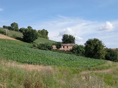 Foto Rustico in VIA DI JESI SNC, Osimo di 224 m² con 8 locali in vendita