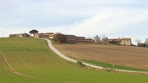 immagine annuncio 2 di 12
