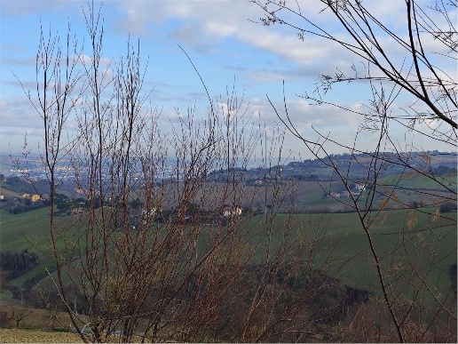 immagine annuncio 3 di 9