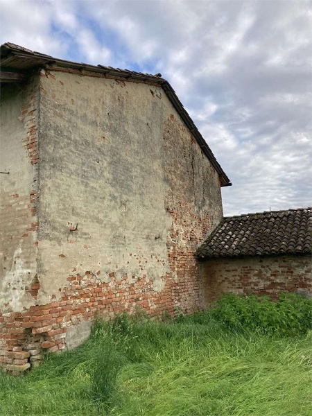 immagine annuncio 12 di 14