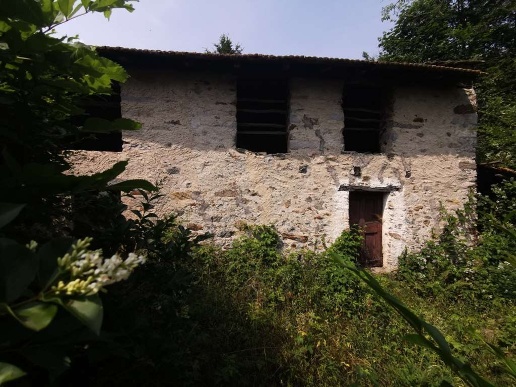 immagine annuncio 3 di 11