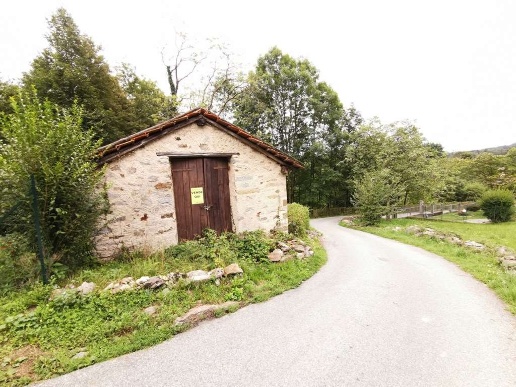 immagine annuncio 5 di 11