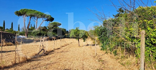 Foto Terreno agricolo in Via DEI LOMBARDI SNC, Marino di 6270 m² in vendita