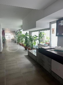 Foto Appartamento in Via Sampolo 82, Palermo Libertà - Villabianca