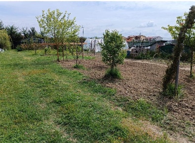 Foto Terreno agricolo a Signa di 1300 m² in vendita