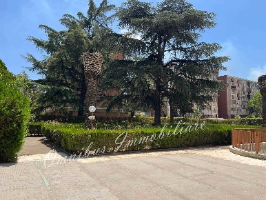 Foto Appartamento in via smaldone 28, Foggia Vigili del Fuoco di 73 m²