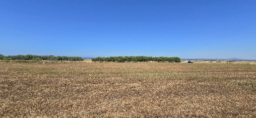 Foto Terreno agricolo a Tarquinia Bandita di 20000 m² in vendita