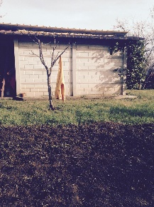 Foto Appartamento a Massa Turano di 80 m² con 4 locali in vendita