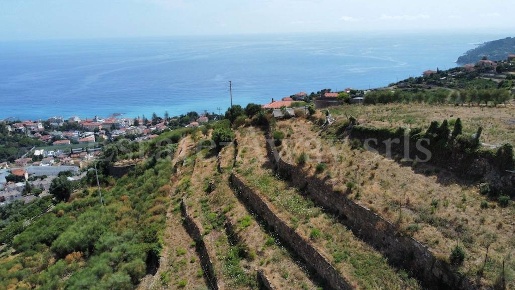 Foto Terreno residenziale in Strada Noci, Ospedaletti di 6000 m² in vendita